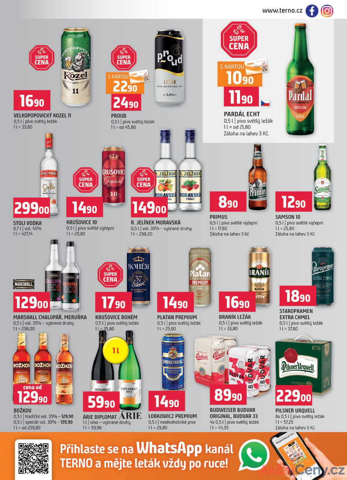 Terno České Budějovice, Třeboň, Trhové sviny, Bechyně, Týn nad Vltavou od 5.11. do 11.11.2025 strana 13