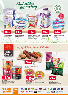 Trefa od 5.11. do 11.11.2025