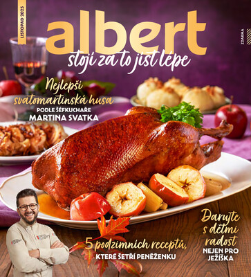 Leták Albert Magazín do 26.11.