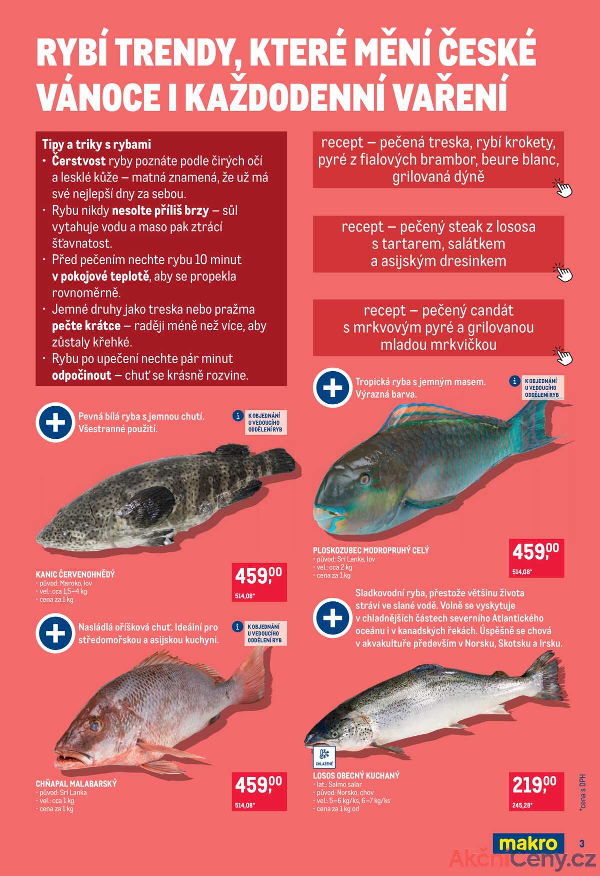 Makro Pro milovníky jídla do 16.12. strana 3