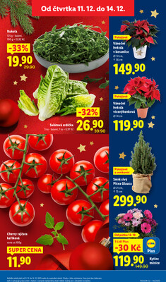 Lidl Čtvrtek od 11.12. do 14.12.2025