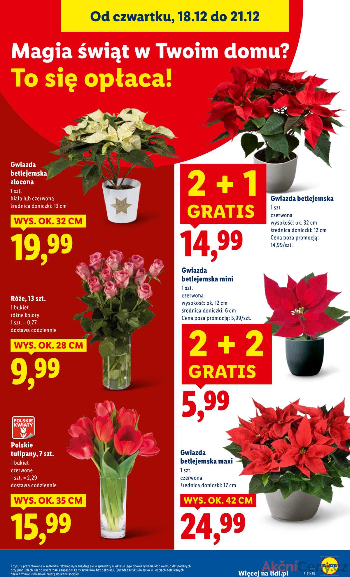 Leták Lidl Polsko 18.12.-21.12.2025 strana 33