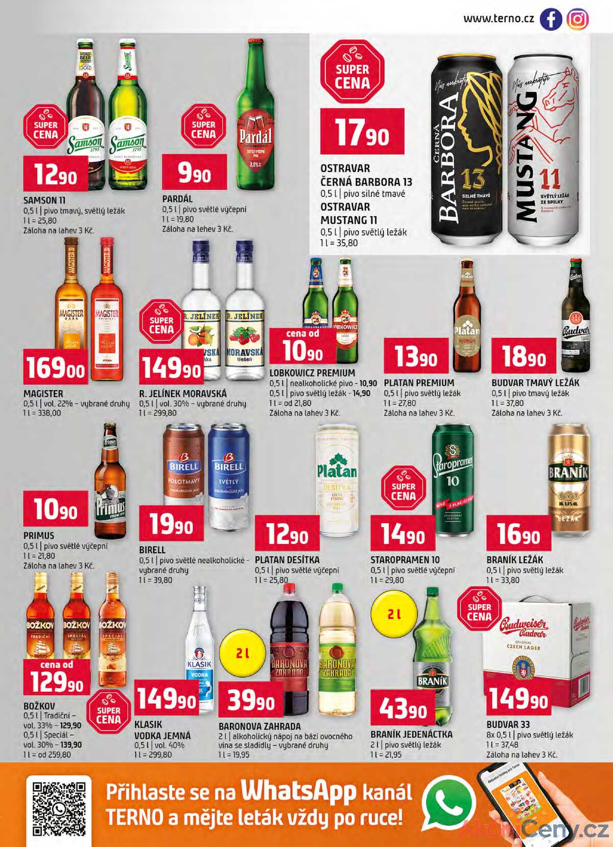 Terno Zlín, Český Krumlov, Prachatice, Tábor, Strakonice, Blatná 2.1. - 6.1. strana 13