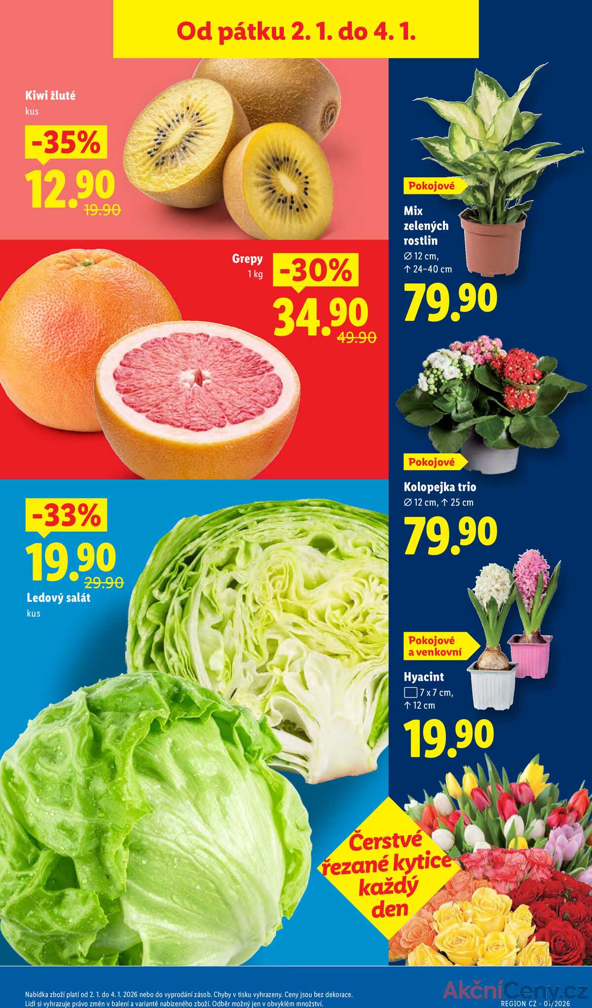 Lidl Pátek od 2.1. do 4.1.2026 strana 9