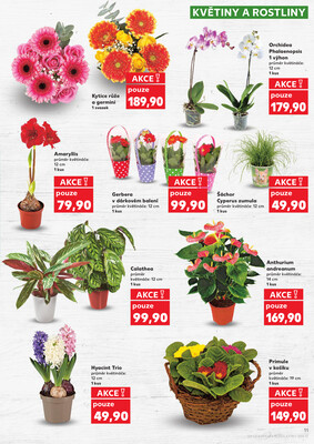 Kaufland 2.1. - 6.1. - Kaufland - Havlíčkův Brod