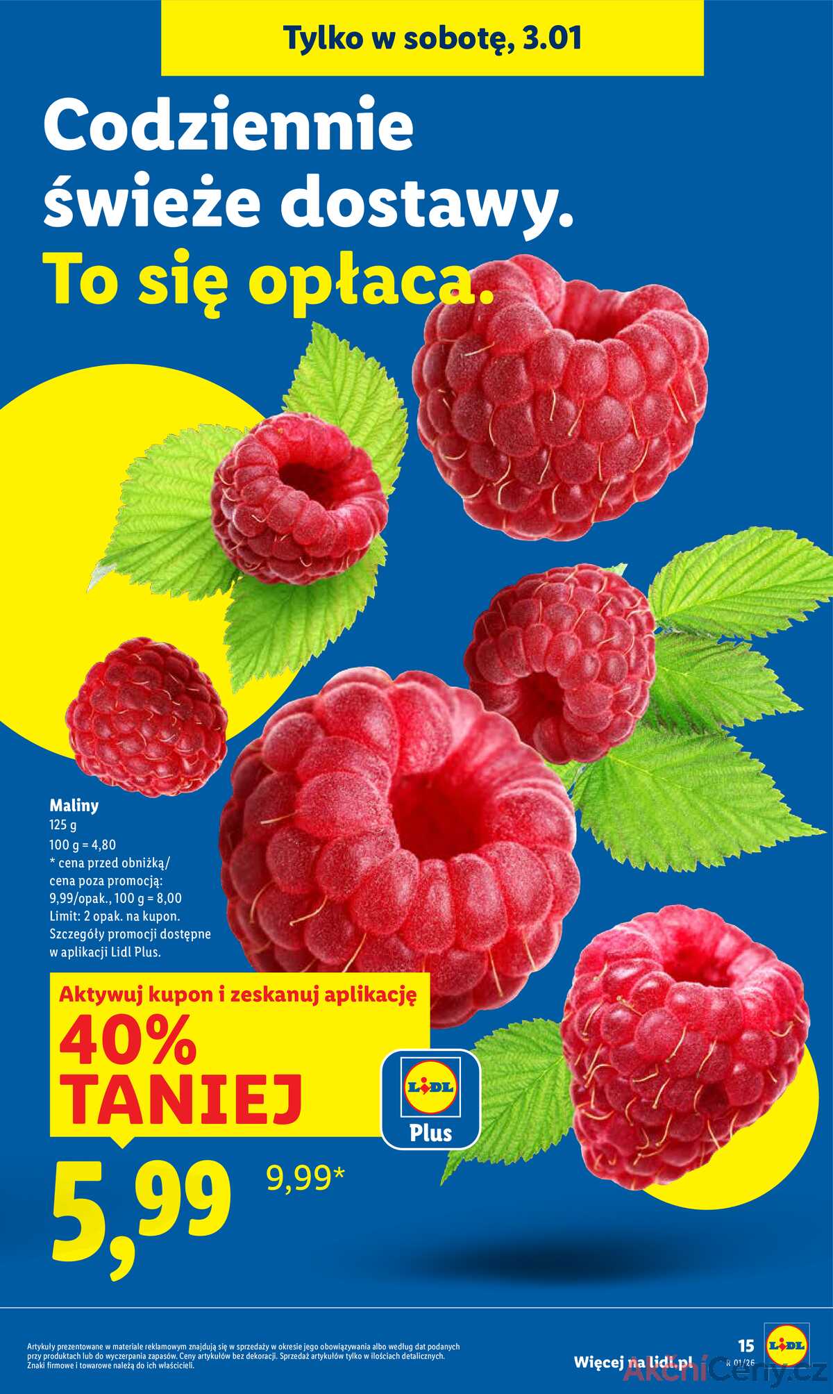 Leták Lidl Polsko 2.1.-3.1.2026 strana 17