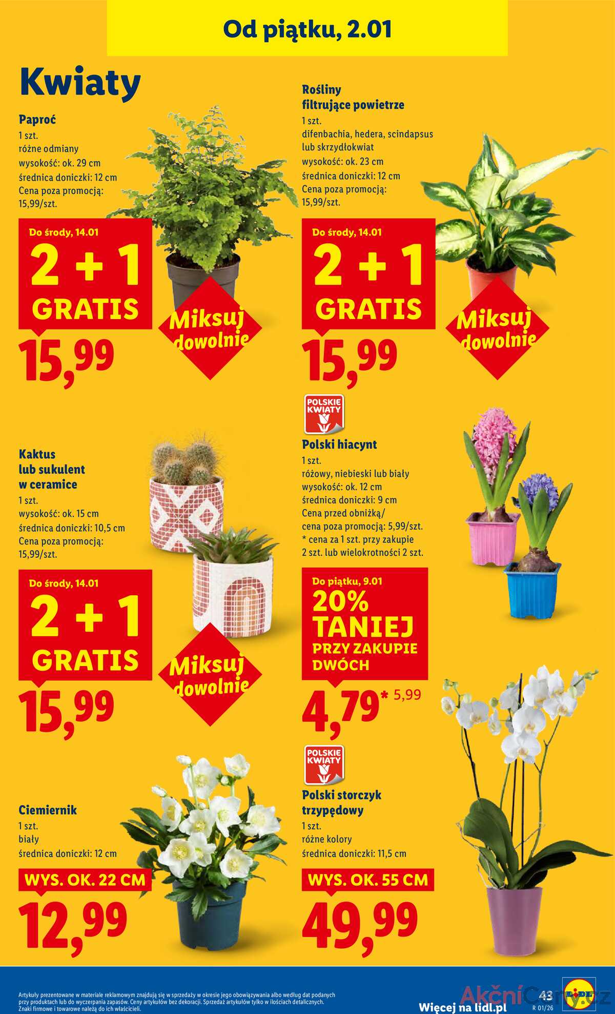 Leták Lidl Polsko 2.1.-3.1.2026 strana 45