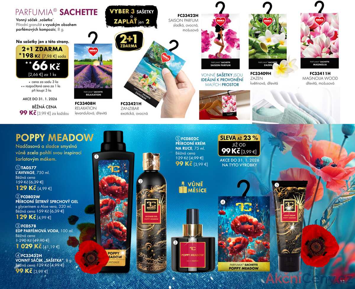 Dedra do 31.1. strana 13