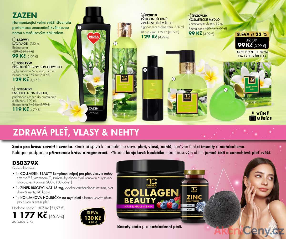 Dedra do 31.1. strana 15