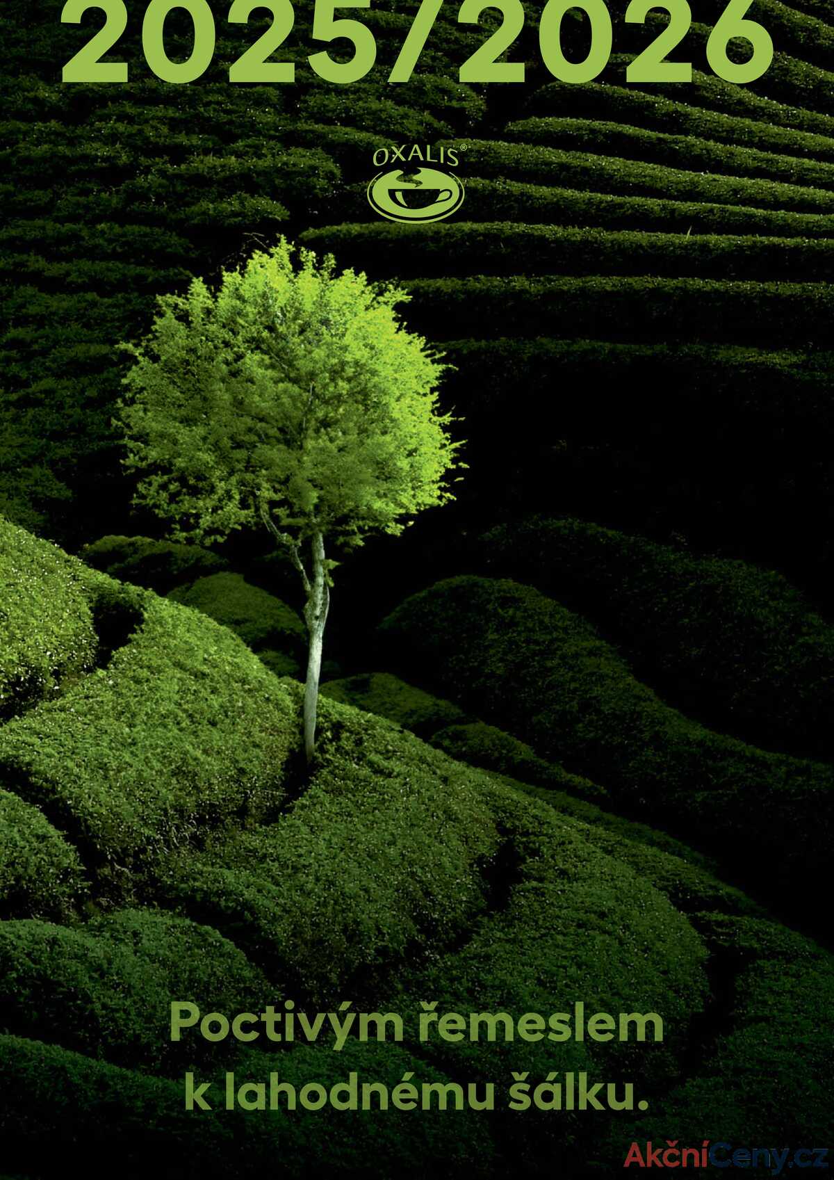 Oxalis - čaj a káva 2025/2026 strana 1