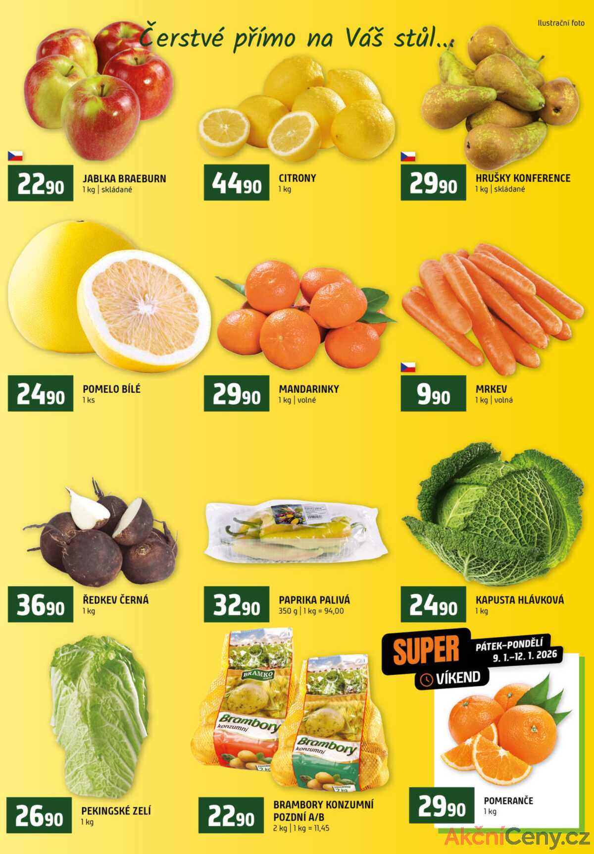 Terno Český Krumlov 7.1. - 13.1. strana 6