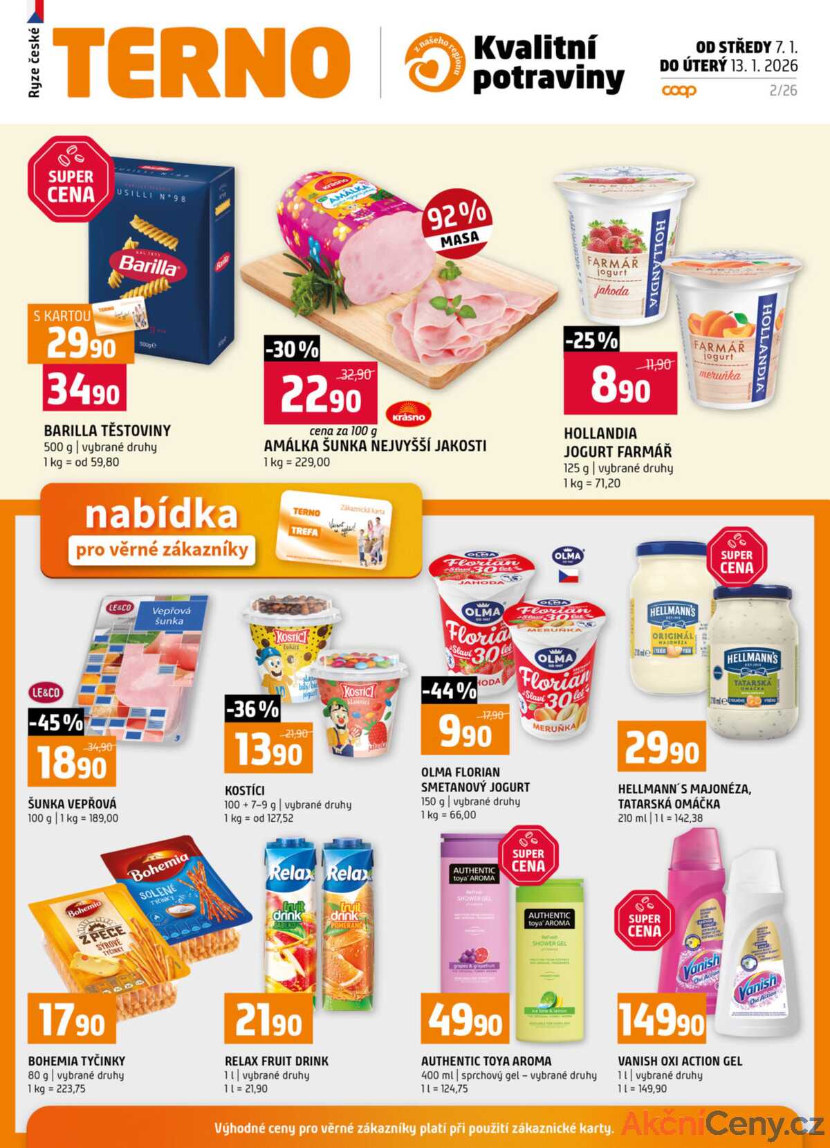 Terno Český Krumlov 7.1. - 13.1. strana 19