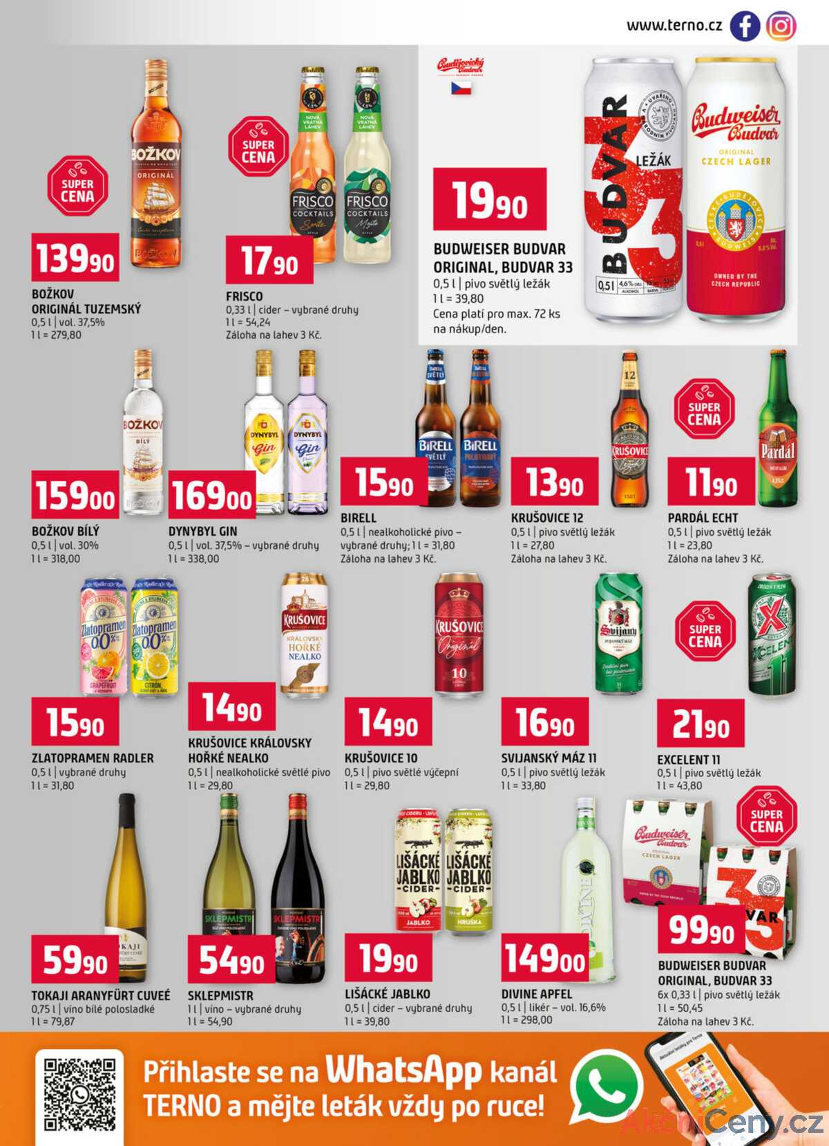 Terno Prachatice 7.1. - 13.1. strana 13