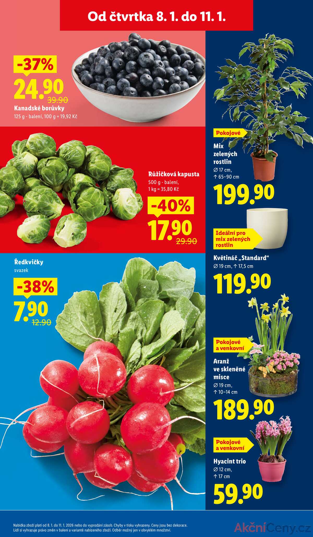 Lidl Čtvrtek od 8.1. do 11.1.2026 strana 9