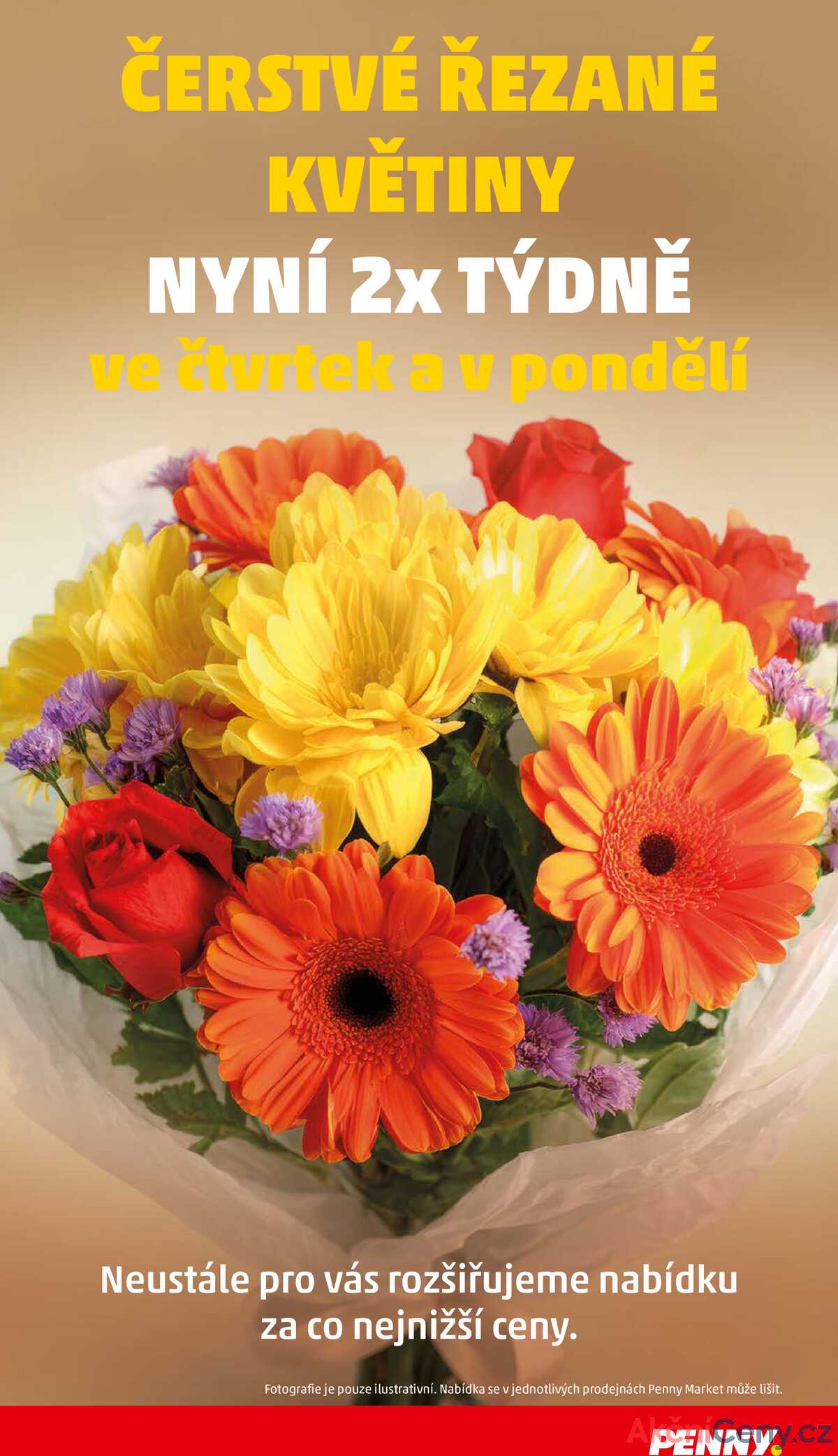 Penny Market od 8.1. do 14.1.2026 strana 29