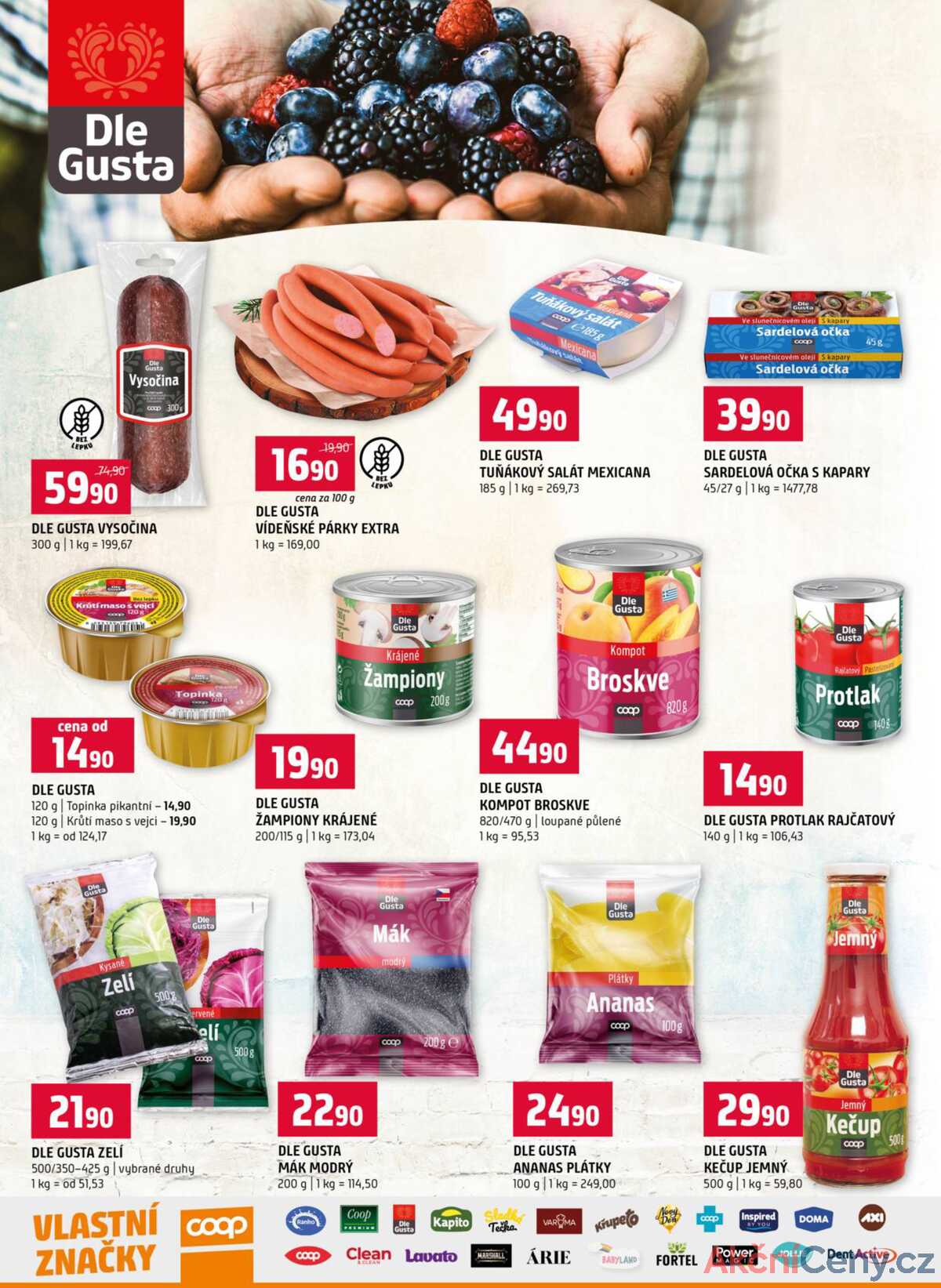 Terno Zlín, Prachatice, Český Krumlov, Tábor, Strakonice, Blatná 14.1. - 20.1. strana 16