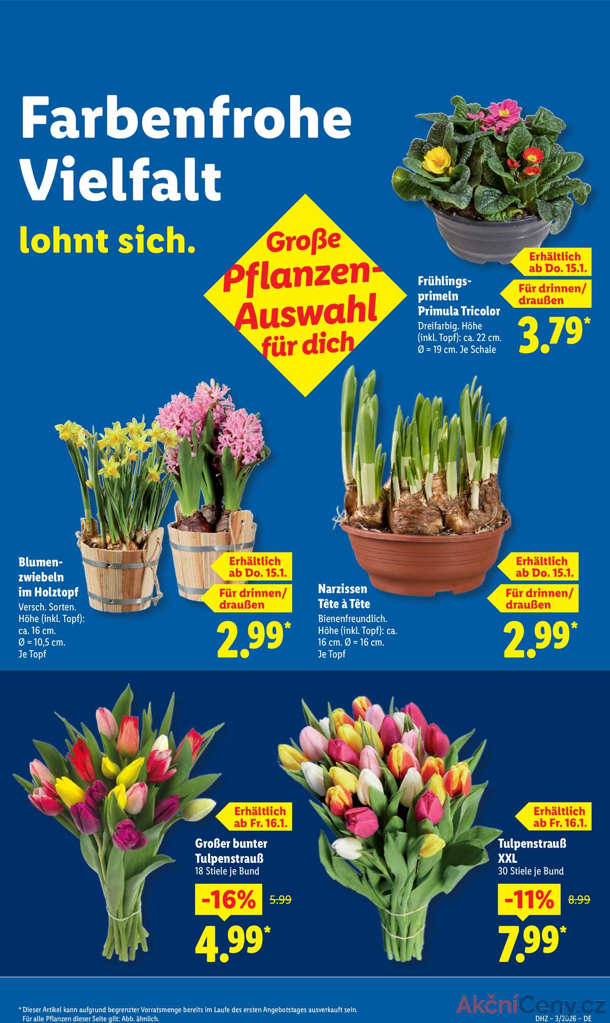 Leták Lidl Německo 12.1.-17.1.2026 strana 17