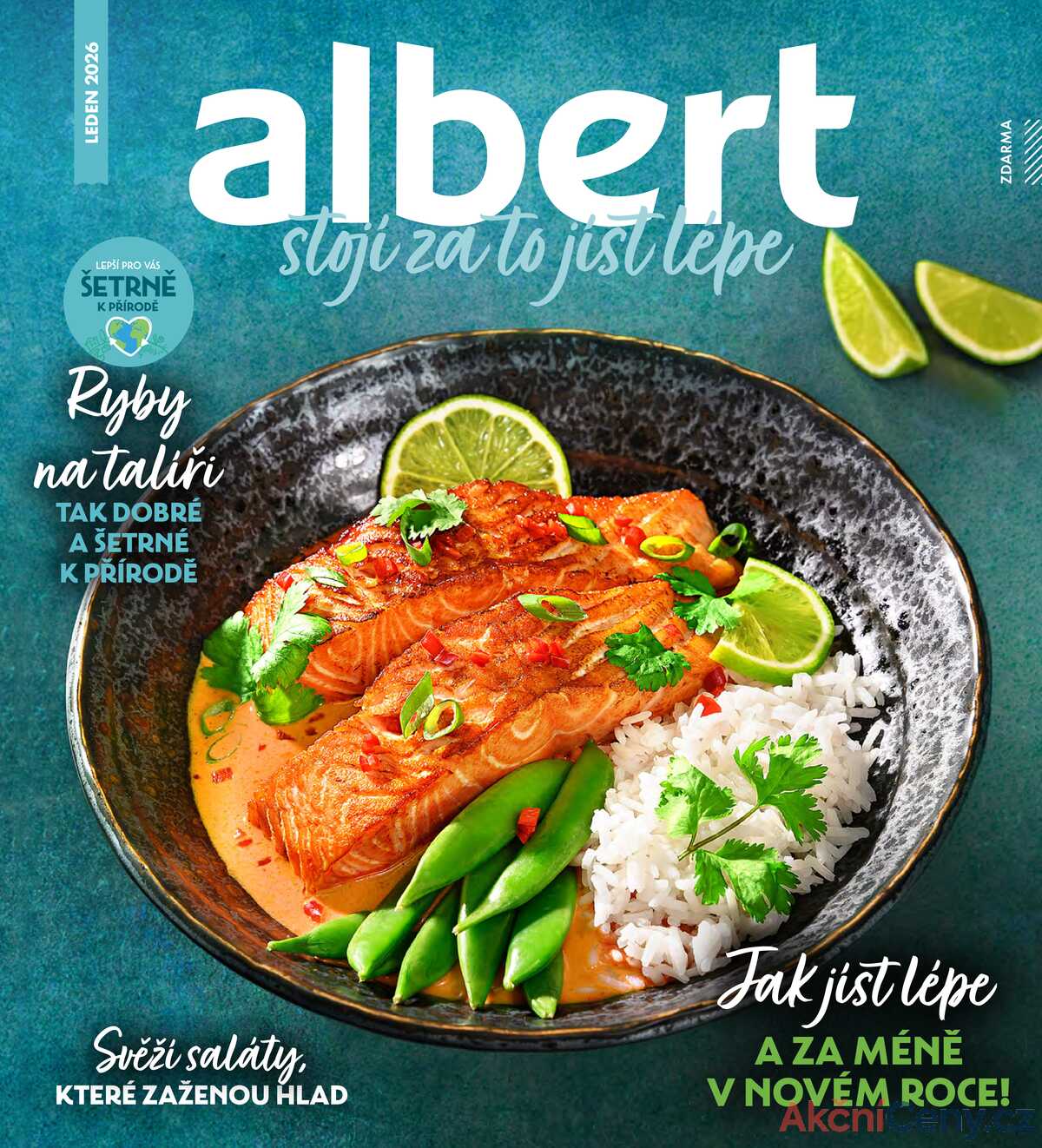 Albert Magazín do 3.2. strana 1