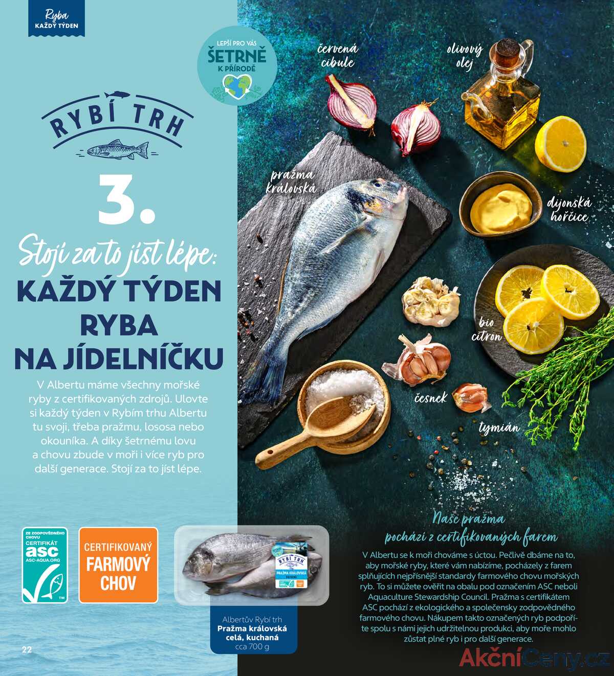 Albert Magazín do 3.2. strana 22