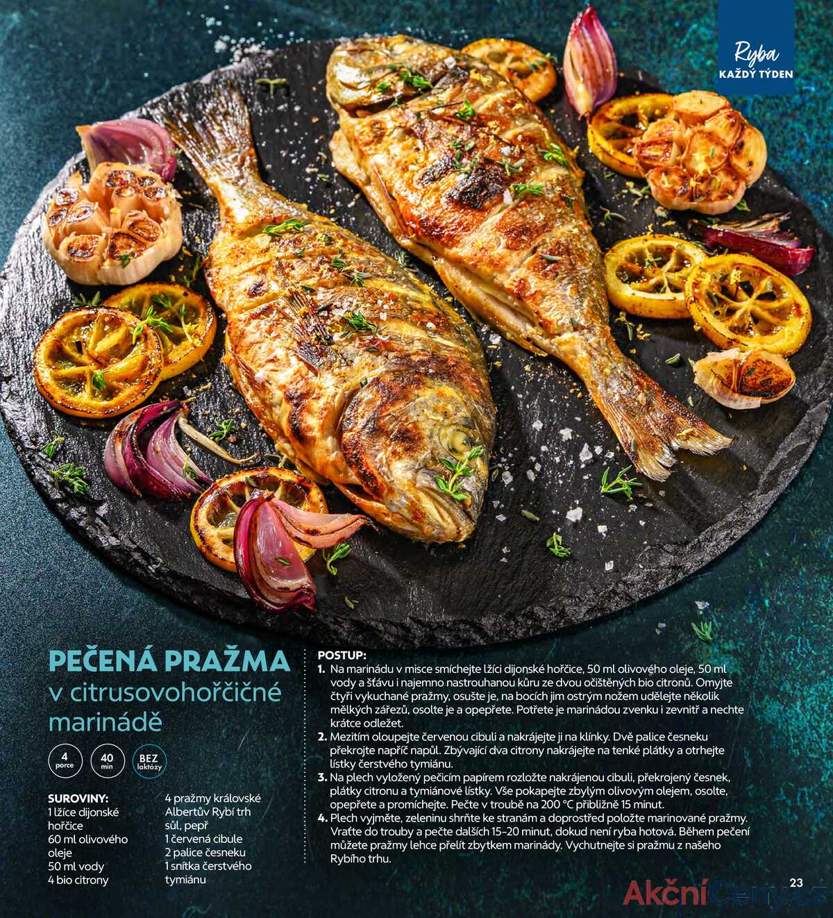 Albert Magazín do 3.2. strana 23