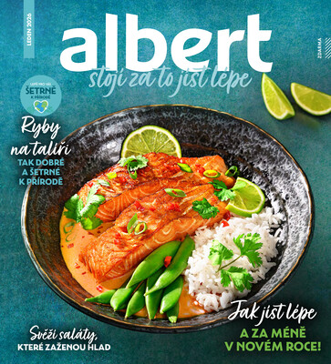 Albert Magazín do 3.2.