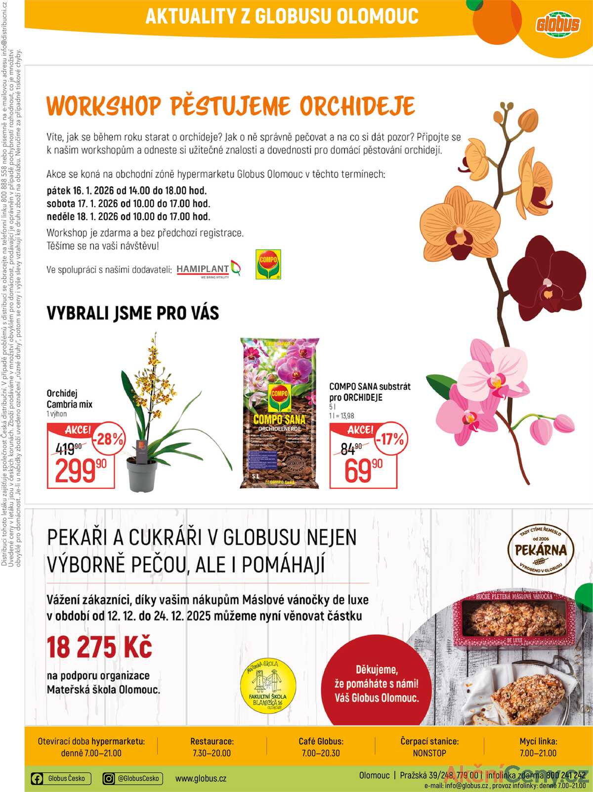 Akční leták Globus 14.1. - 20.1.2026 - Globus Olomouc strana 36
