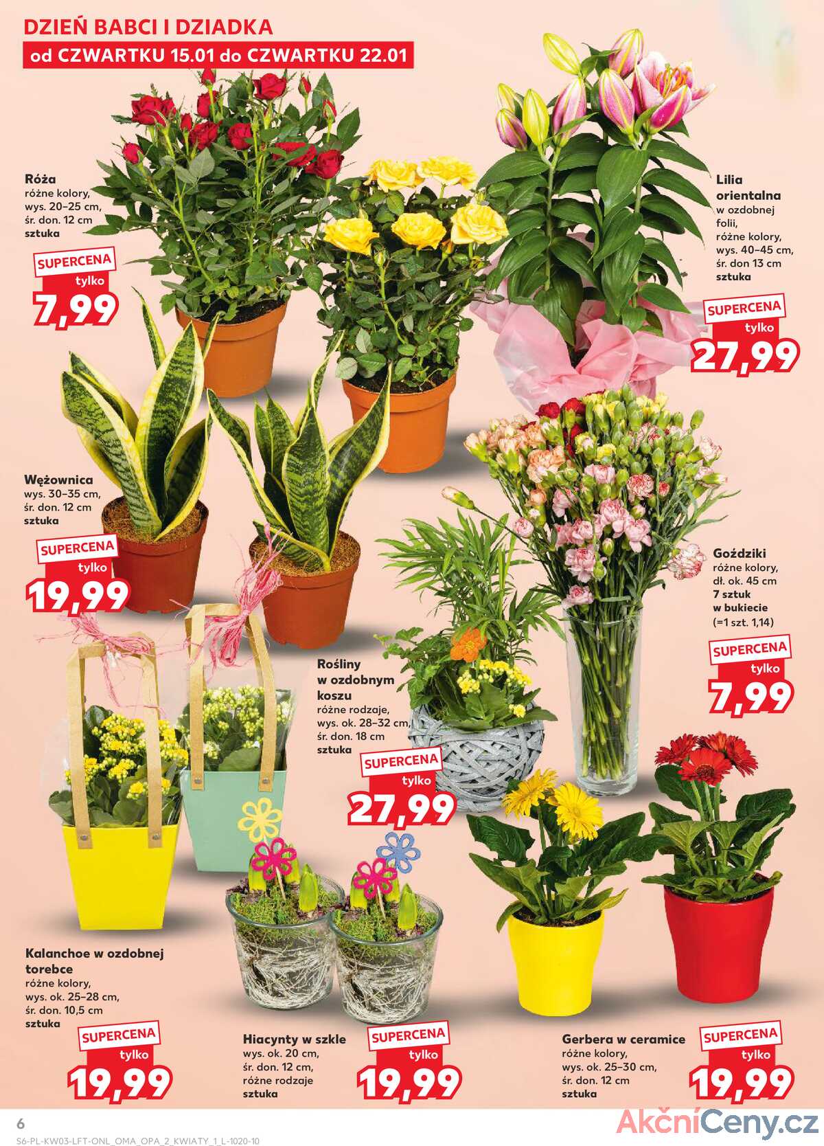 Leták Kaufland Polsko 15.1.-21.1.2026 - Noviny týdne strana 6