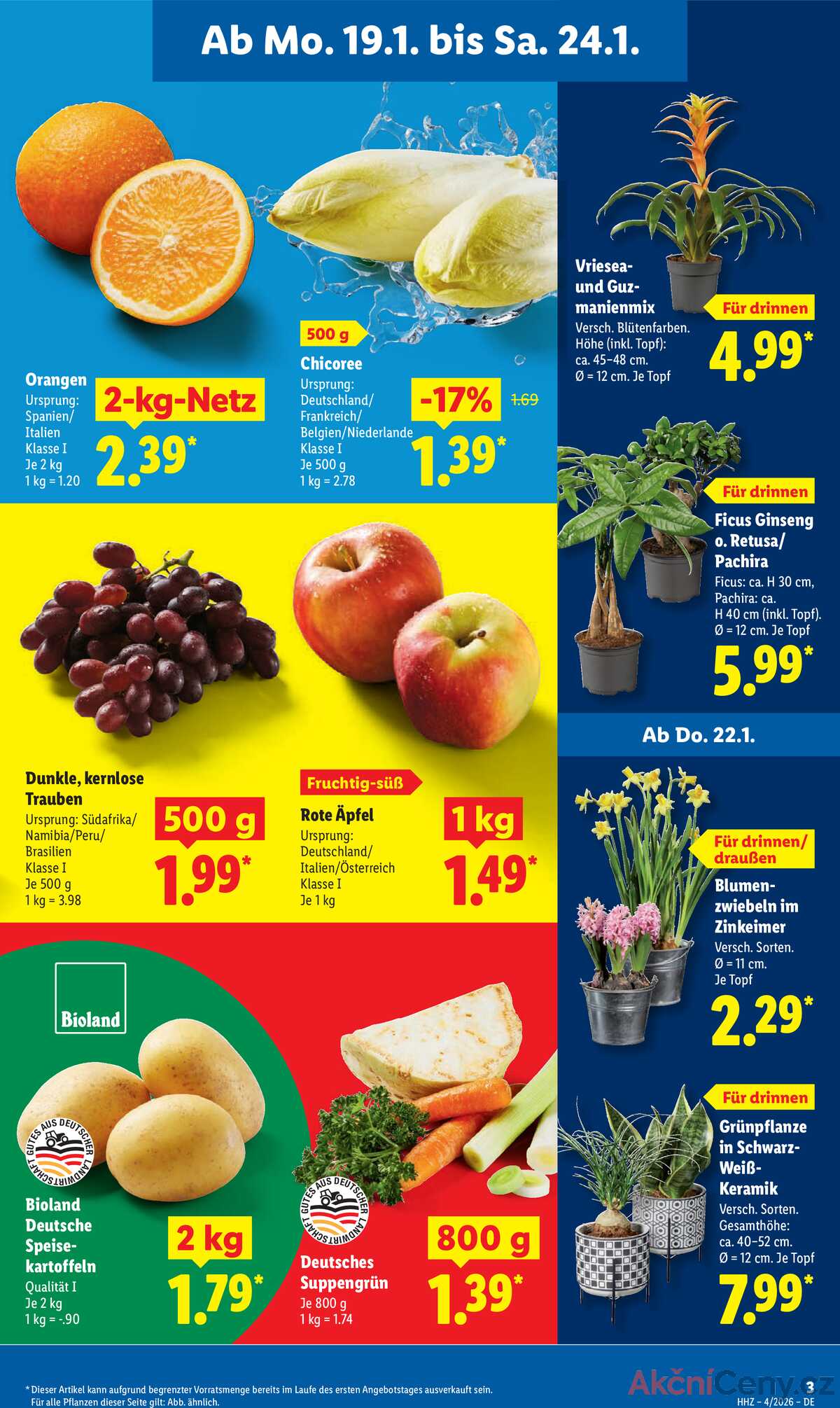 Leták Lidl Německo 19.1.-24.1.2026 strana 5
