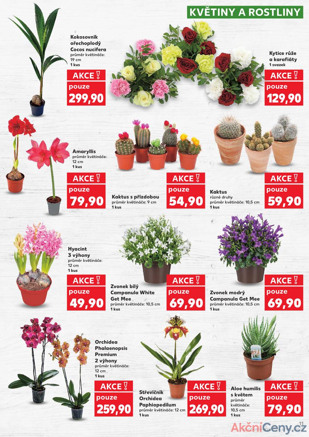 Kaufland 21.1. - 27.1. - Kaufland - Chrudim