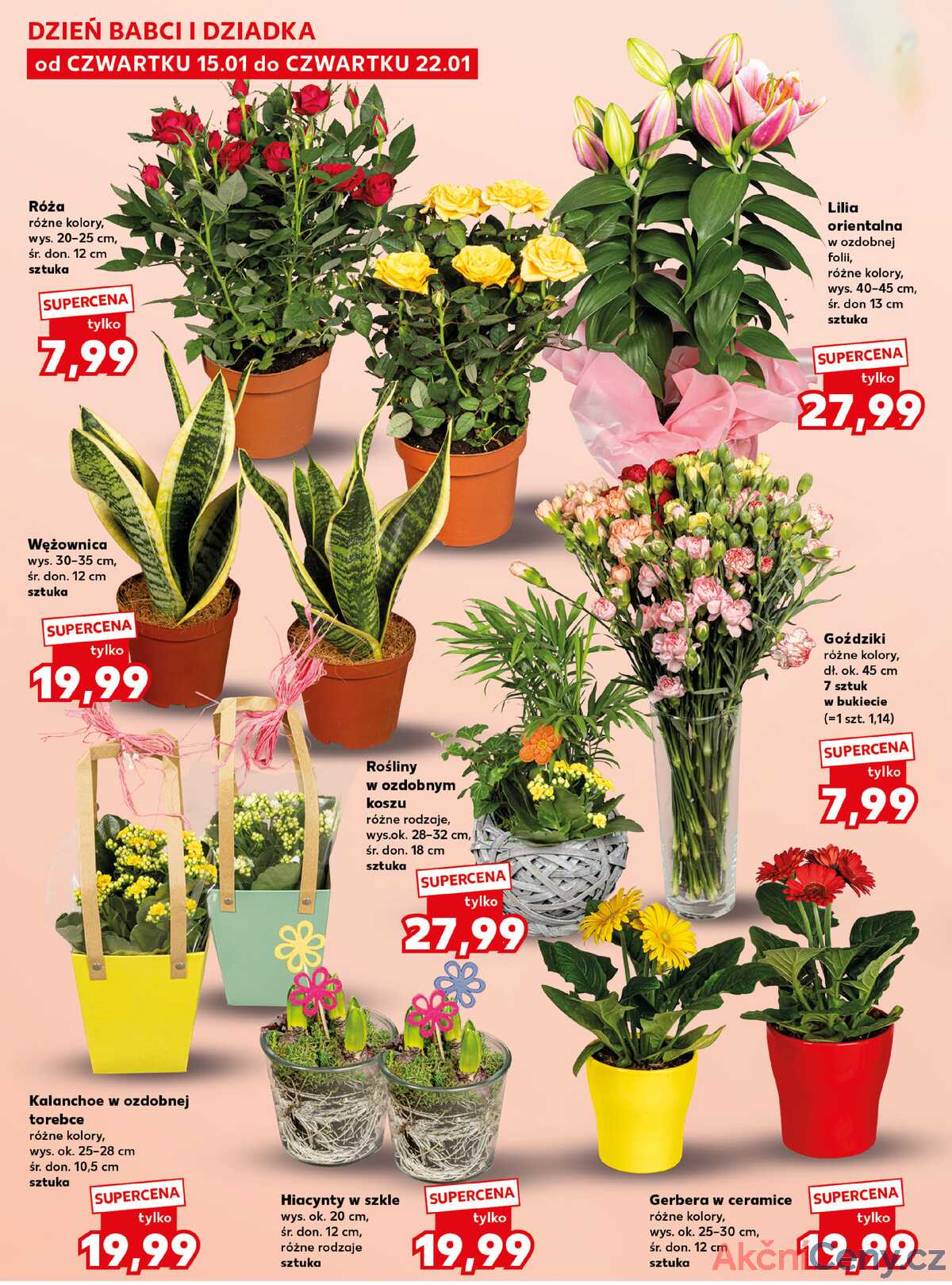 Leták Kaufland Polsko 15.1.-21.1.2026 strana 14