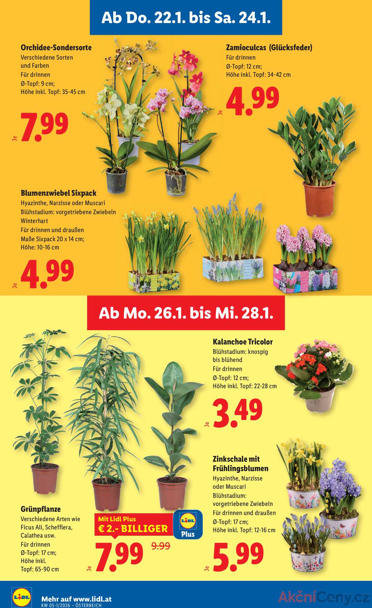 Leták Lidl Rakousko 22.1.-28.1.2026 strana 30