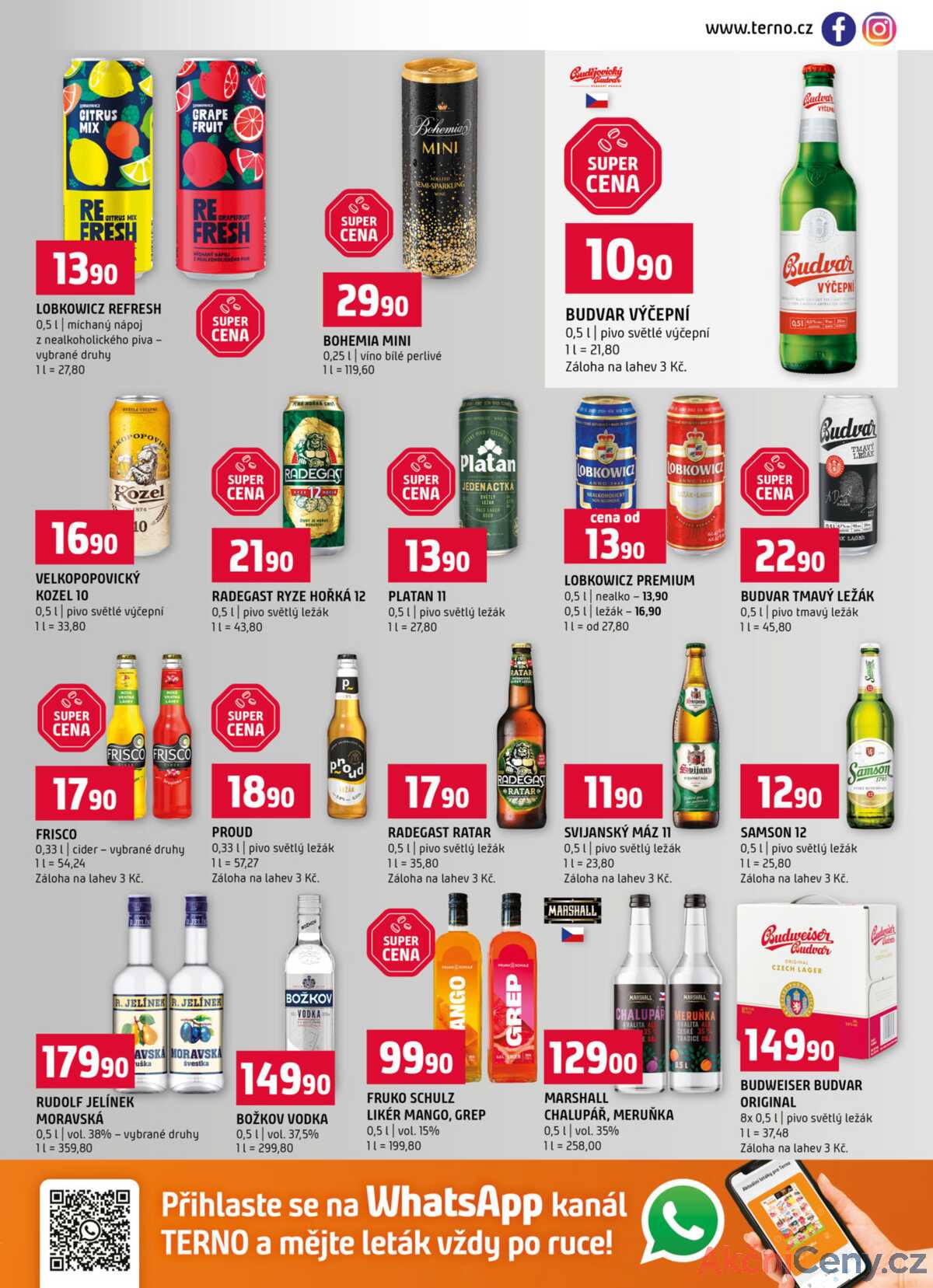 Terno Zlín, Prachatice, Český Krumlov, Tábor, Strakonice, Blatná 21.1. - 27.1. strana 13