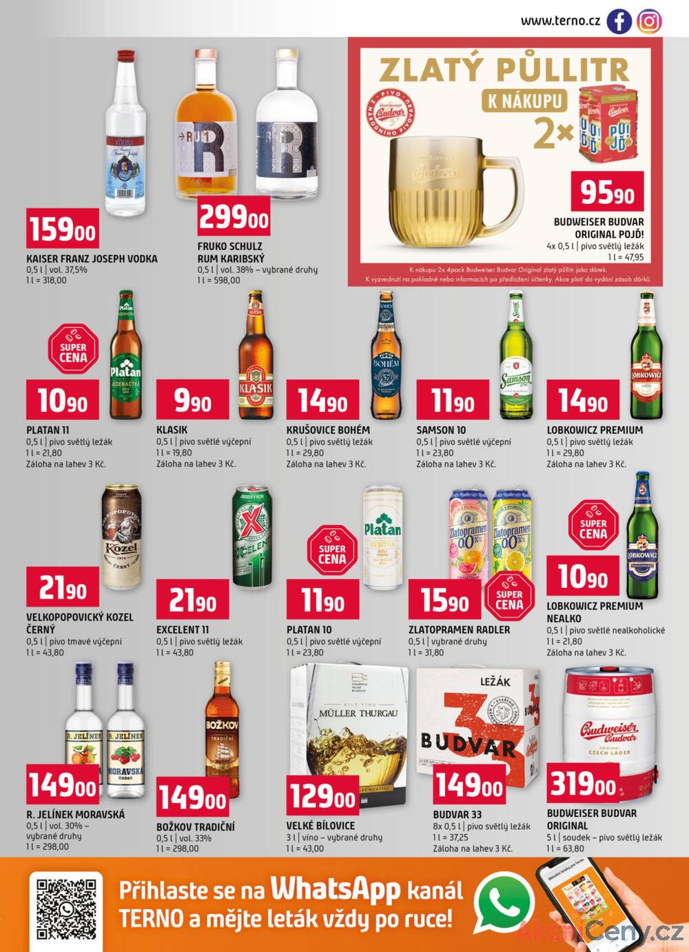 Leták Terno - Terno České Budějovice, Třeboň, Trhové sviny, Bechyně, Týn nad Vltavou, Borovany od 28.1. do 3.2.2026 - strana 13