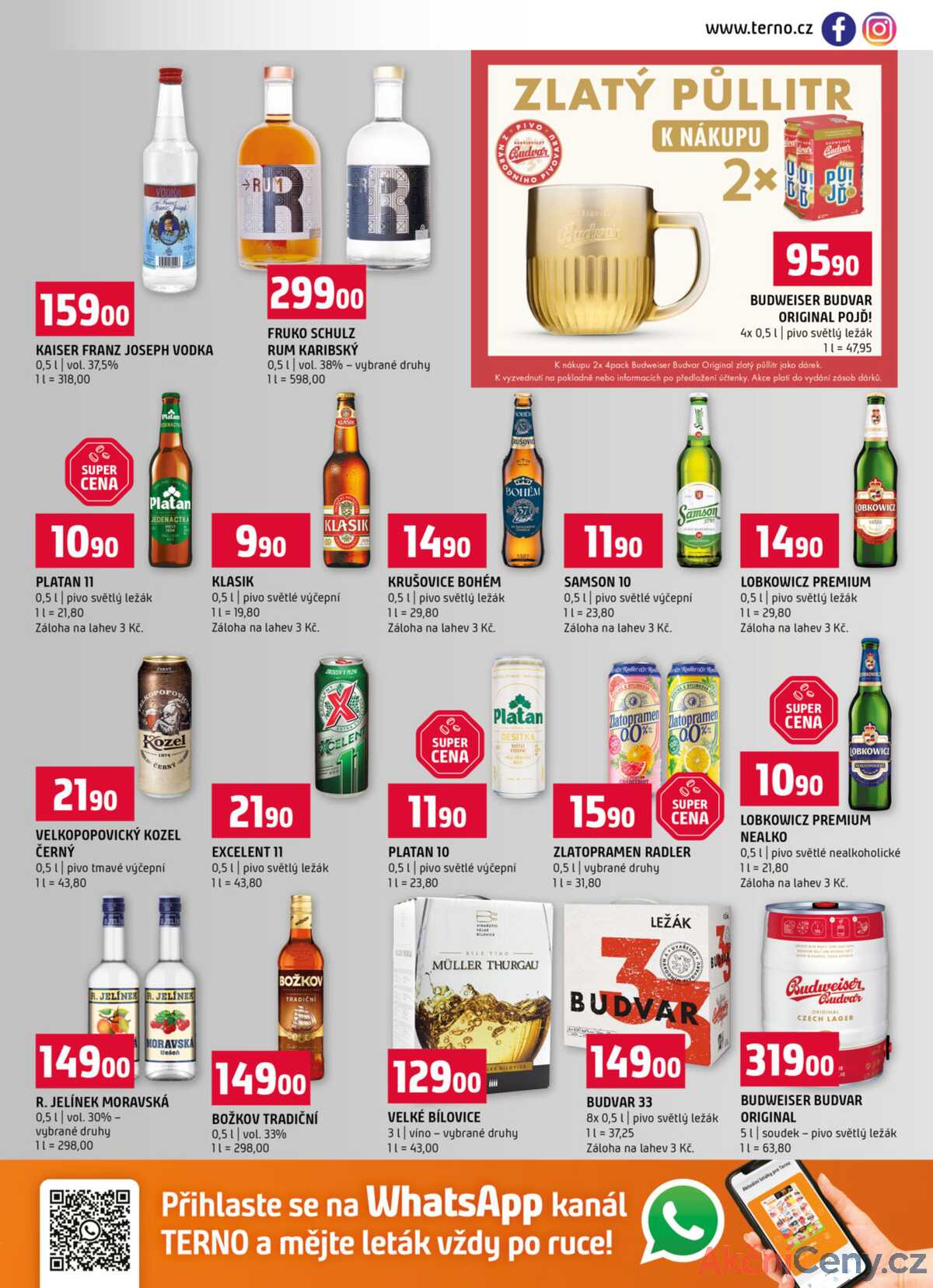 Terno Zlín 28.1. - 3.2. strana 13