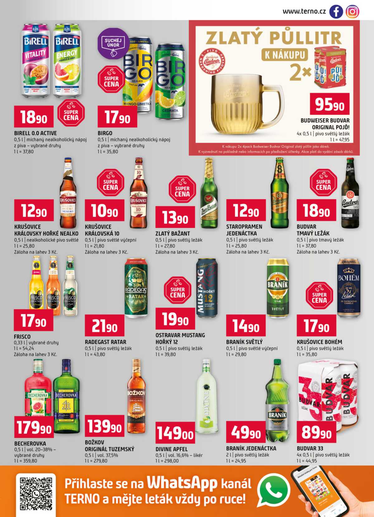 Terno České Budějovice, Třeboň, Trhové sviny, Bechyně, Týn nad Vltavou, Hradec Králové, Olomouc, Borovany od 4.2. do 10.2.2026 strana 13