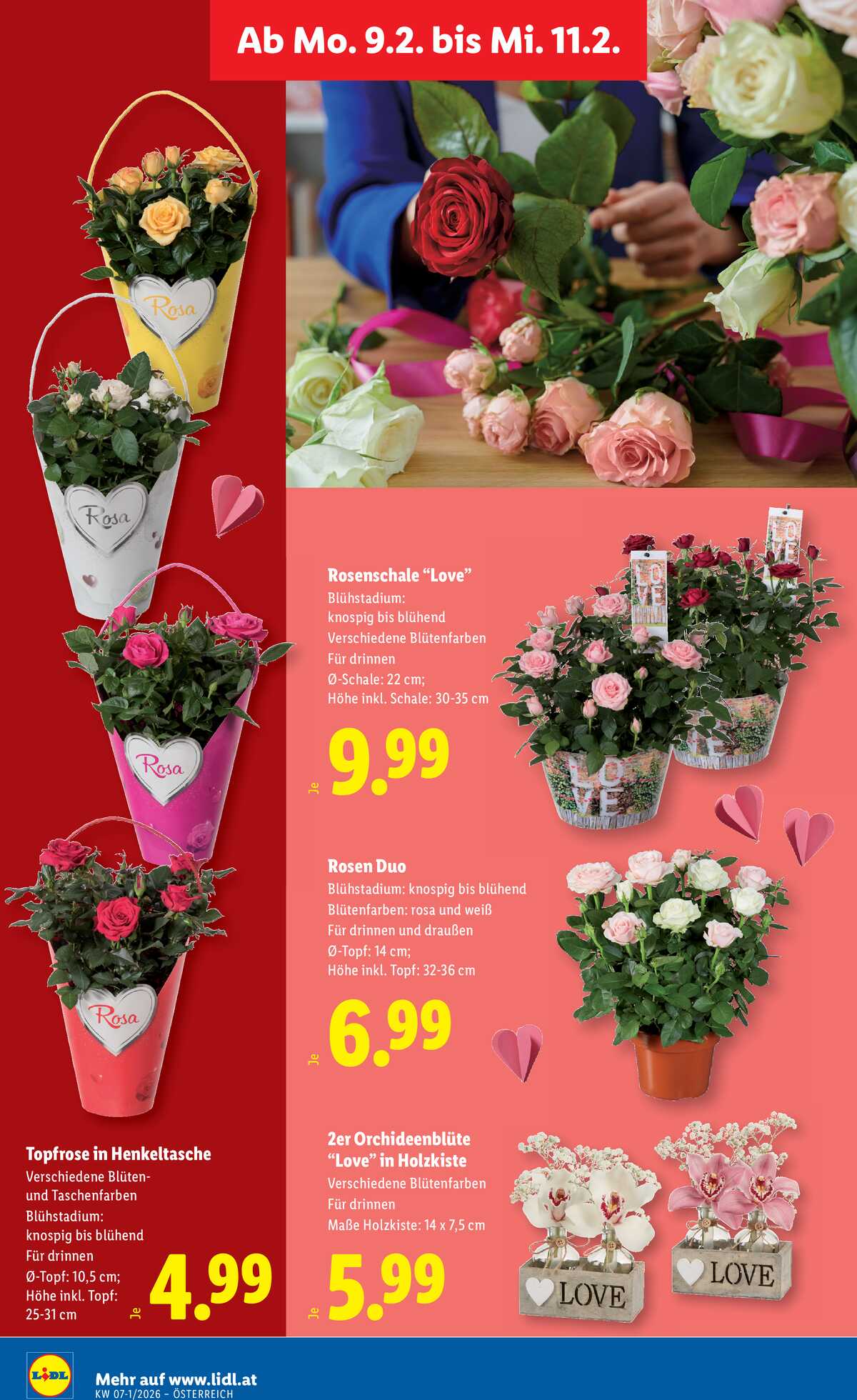 Leták Lidl Rakousko 5.2.-11.2.2026 strana 30