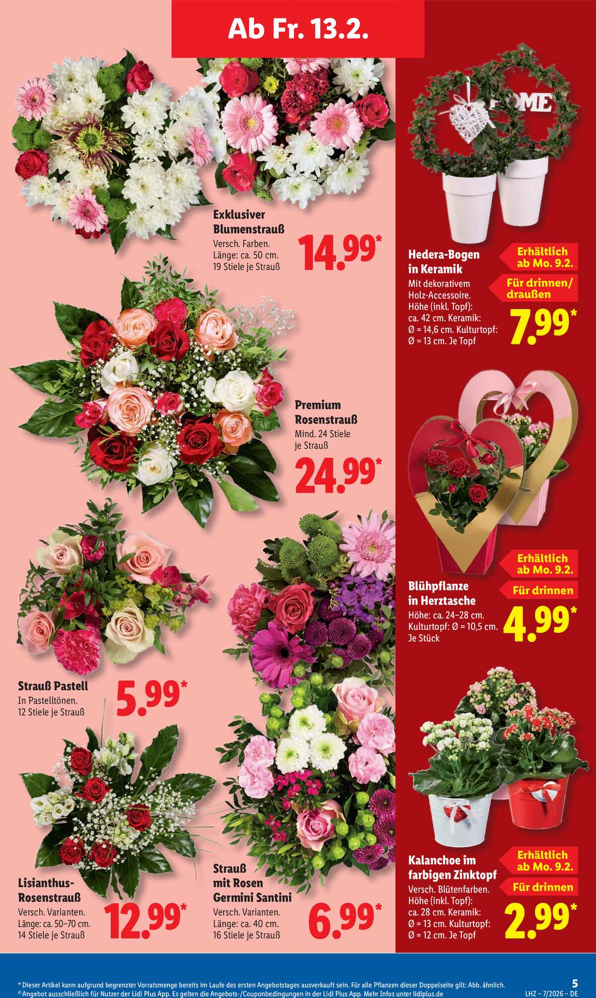 Leták Lidl Německo 9.2.-14.2.2026 strana 13