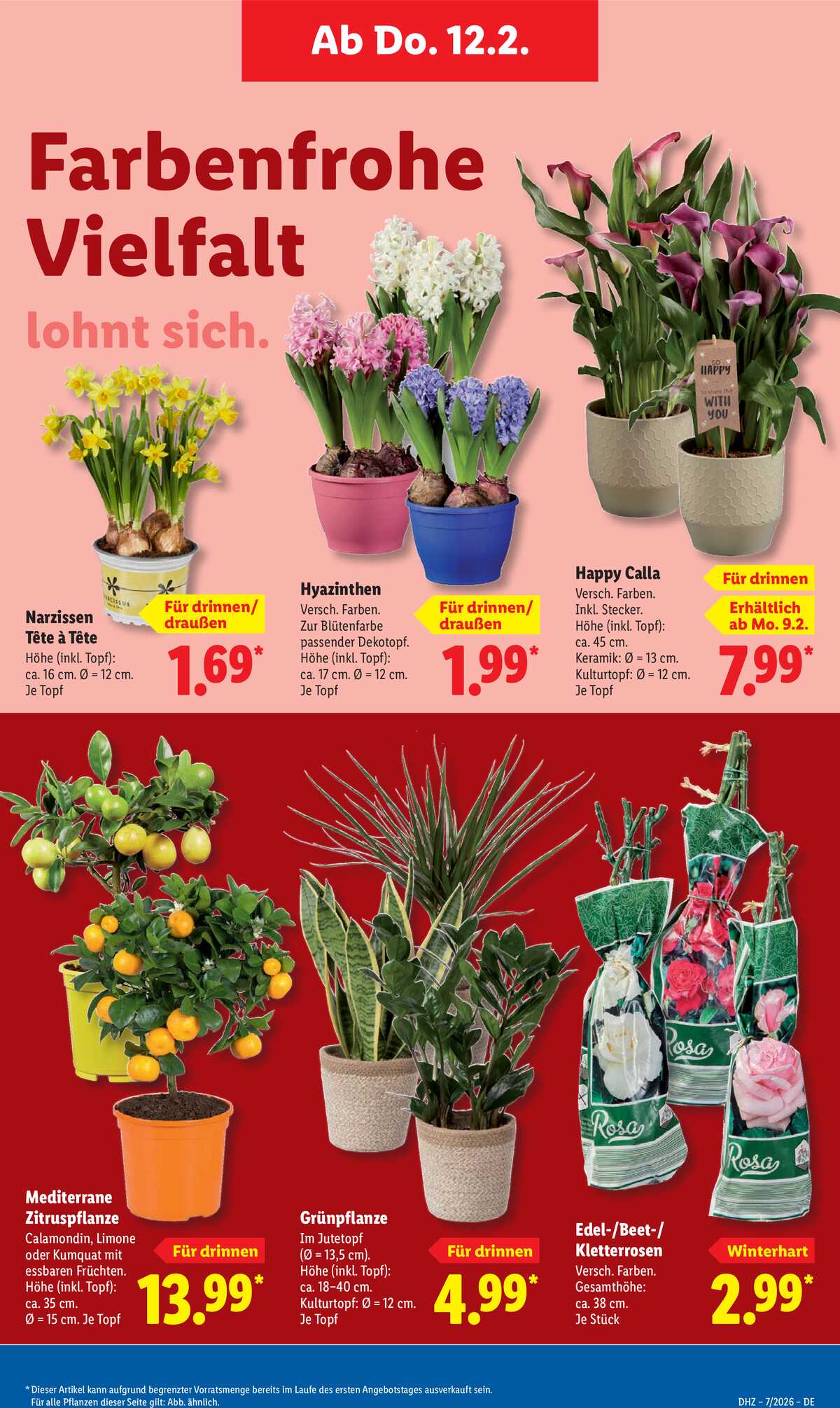 Leták Lidl Německo 9.2.-14.2.2026 strana 13