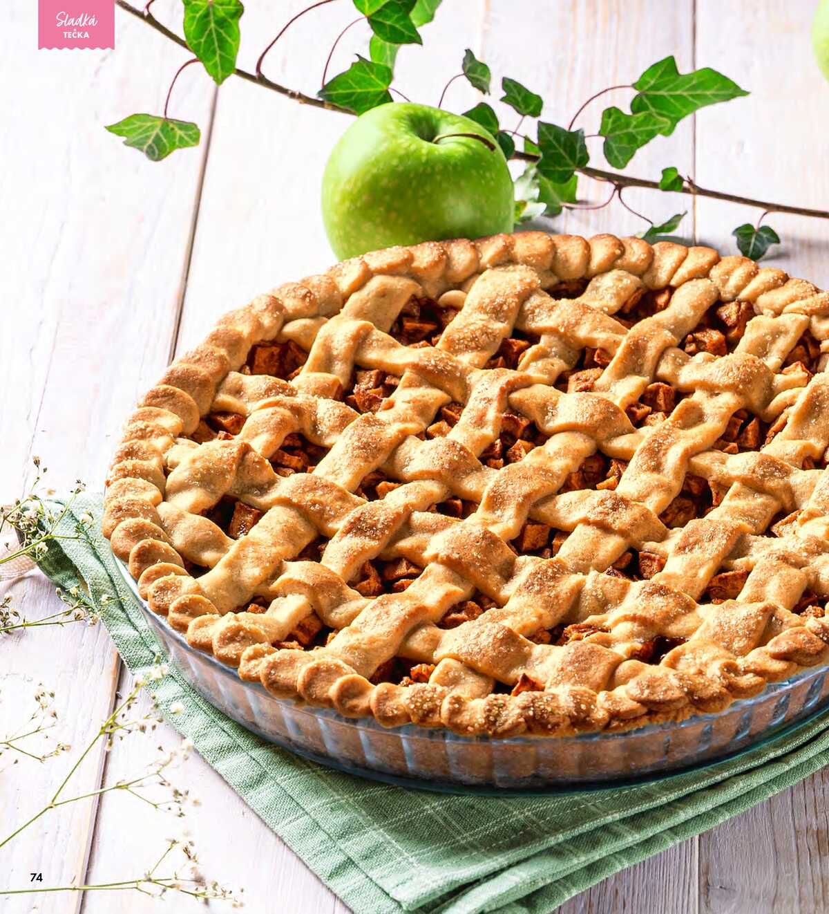 Albert Magazín do 3.3. strana 74