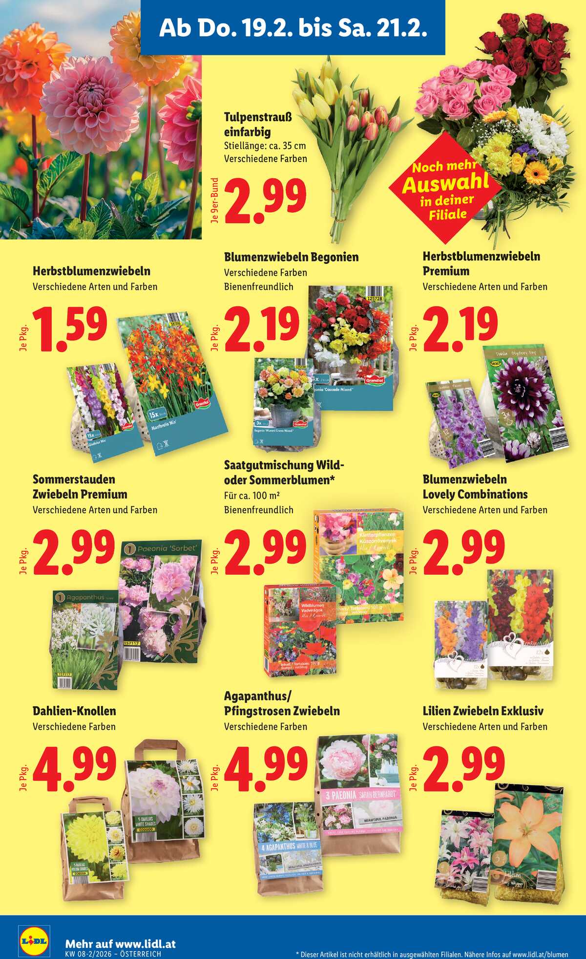 Leták Lidl Rakousko 19.2.-25.2.2026 strana 24