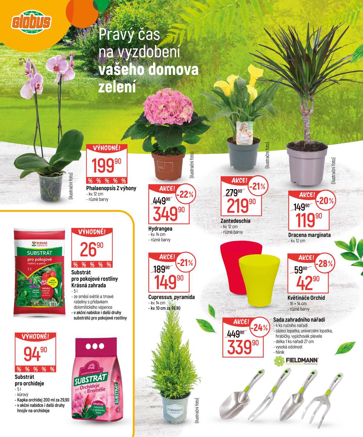 Akční leták Globus 18.2. - 16.3.2026 - Globus Jenišov u Karlových Varů strana 2