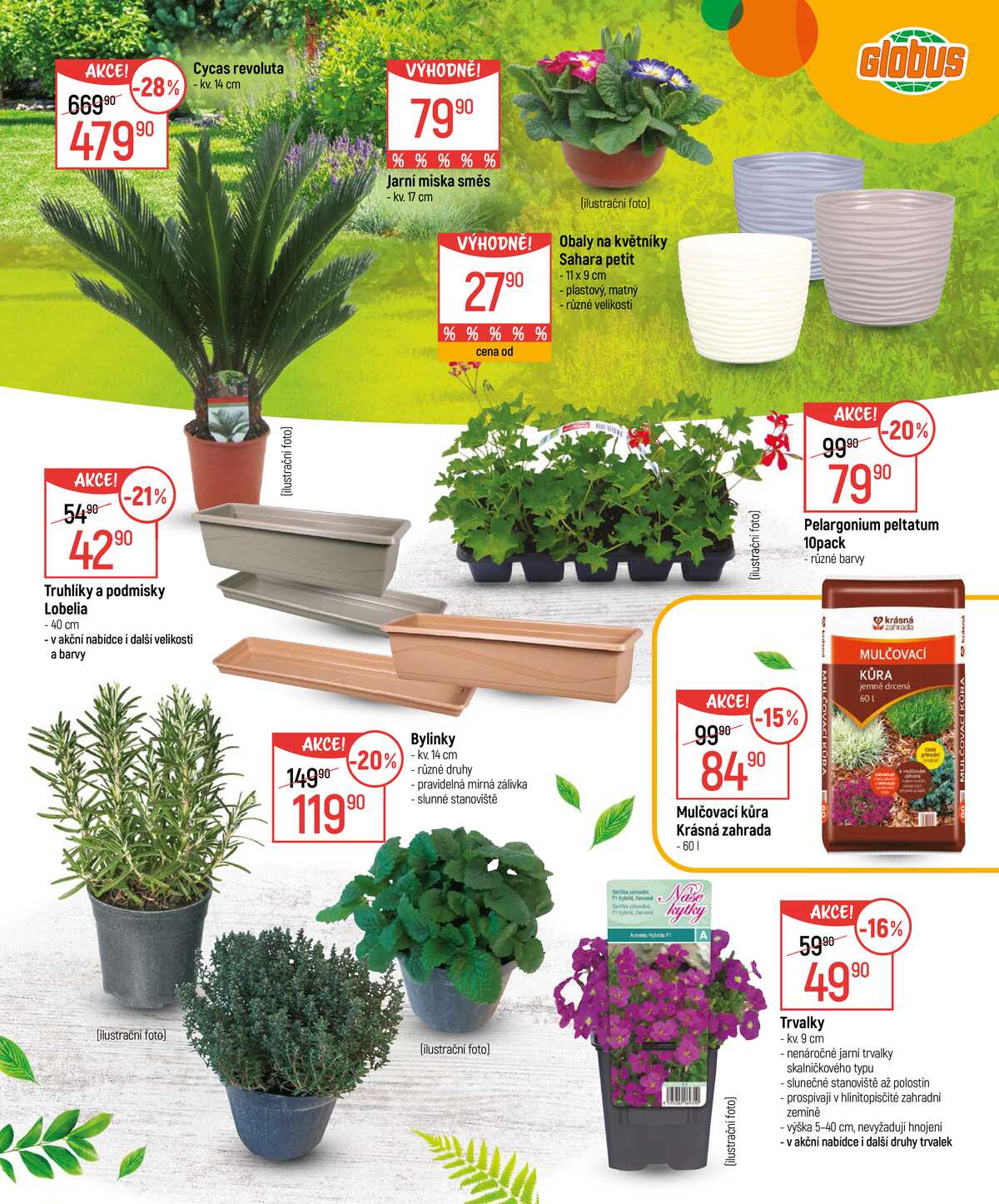 Akční leták Globus 18.2. - 16.3.2026 - Globus Pardubice strana 3