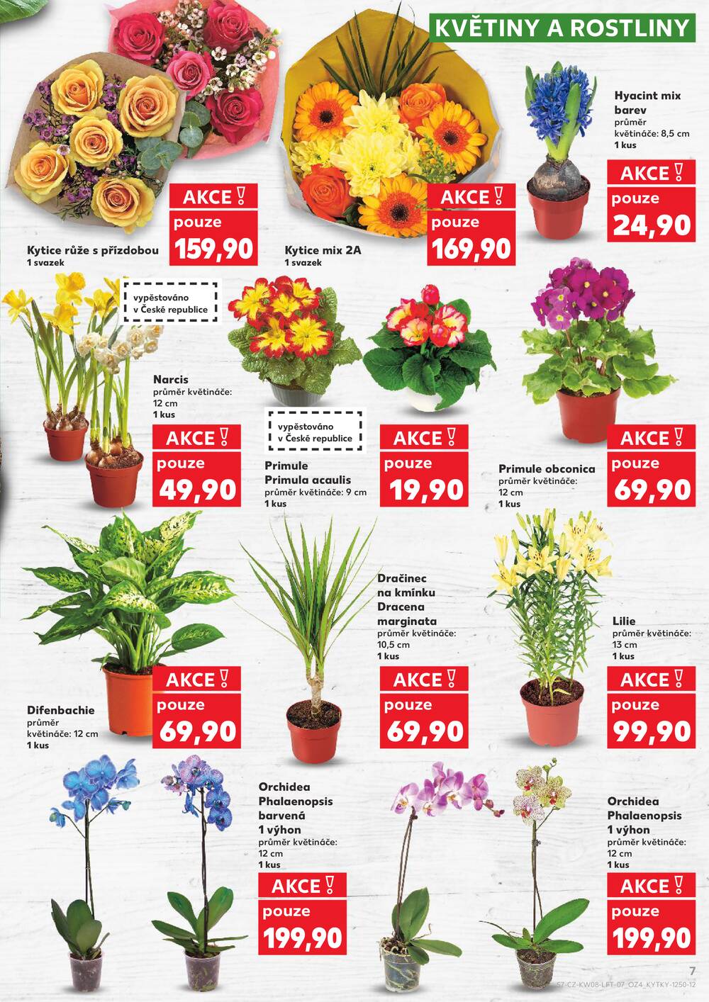 Kaufland 18.2. - 24.2. - Kaufland - Chomutov - Otvice