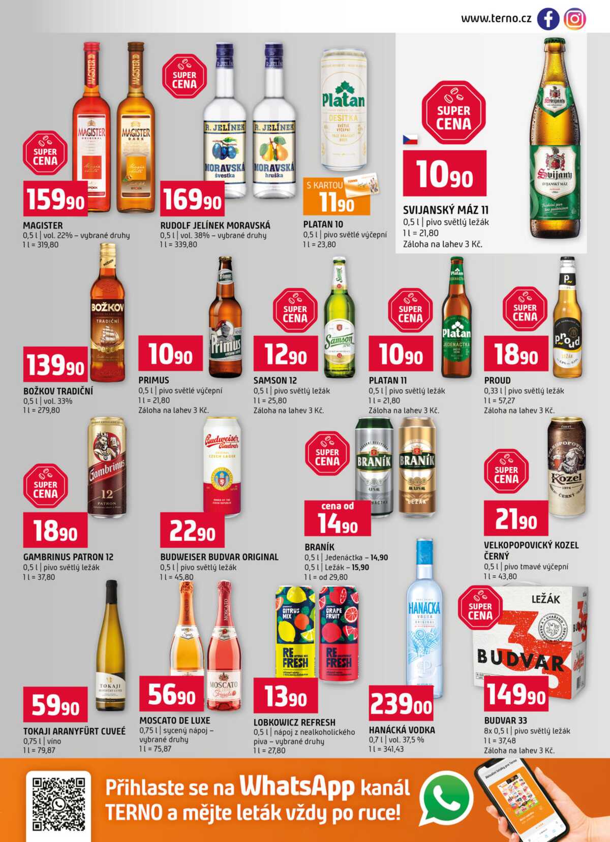 Terno Prachatice, Český Krumlov, Zlín, Tábor, Strakonice, Blatná od 25.2. do 3.3. strana 13