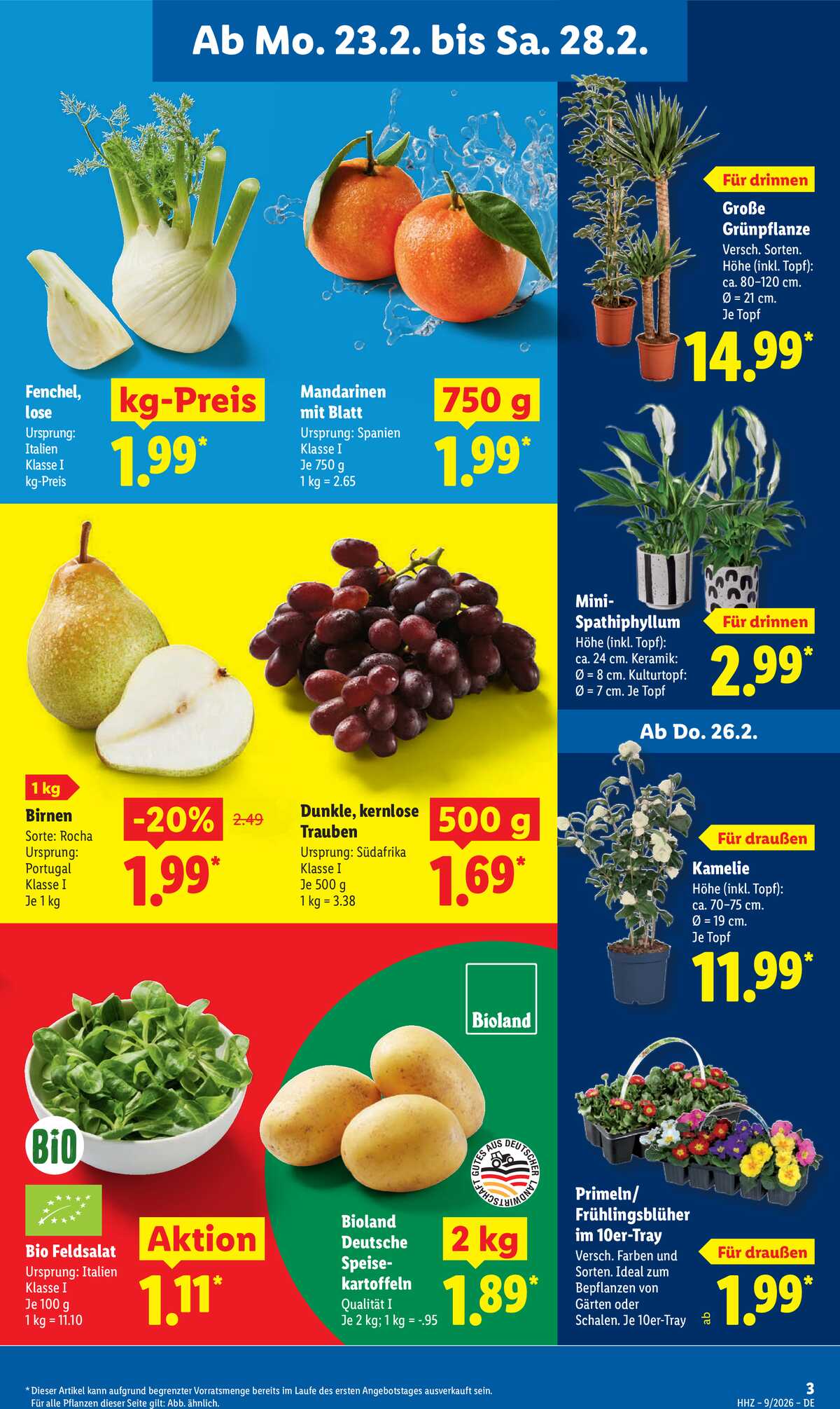 Leták Lidl Německo 23.2.-28.2.2026 strana 5