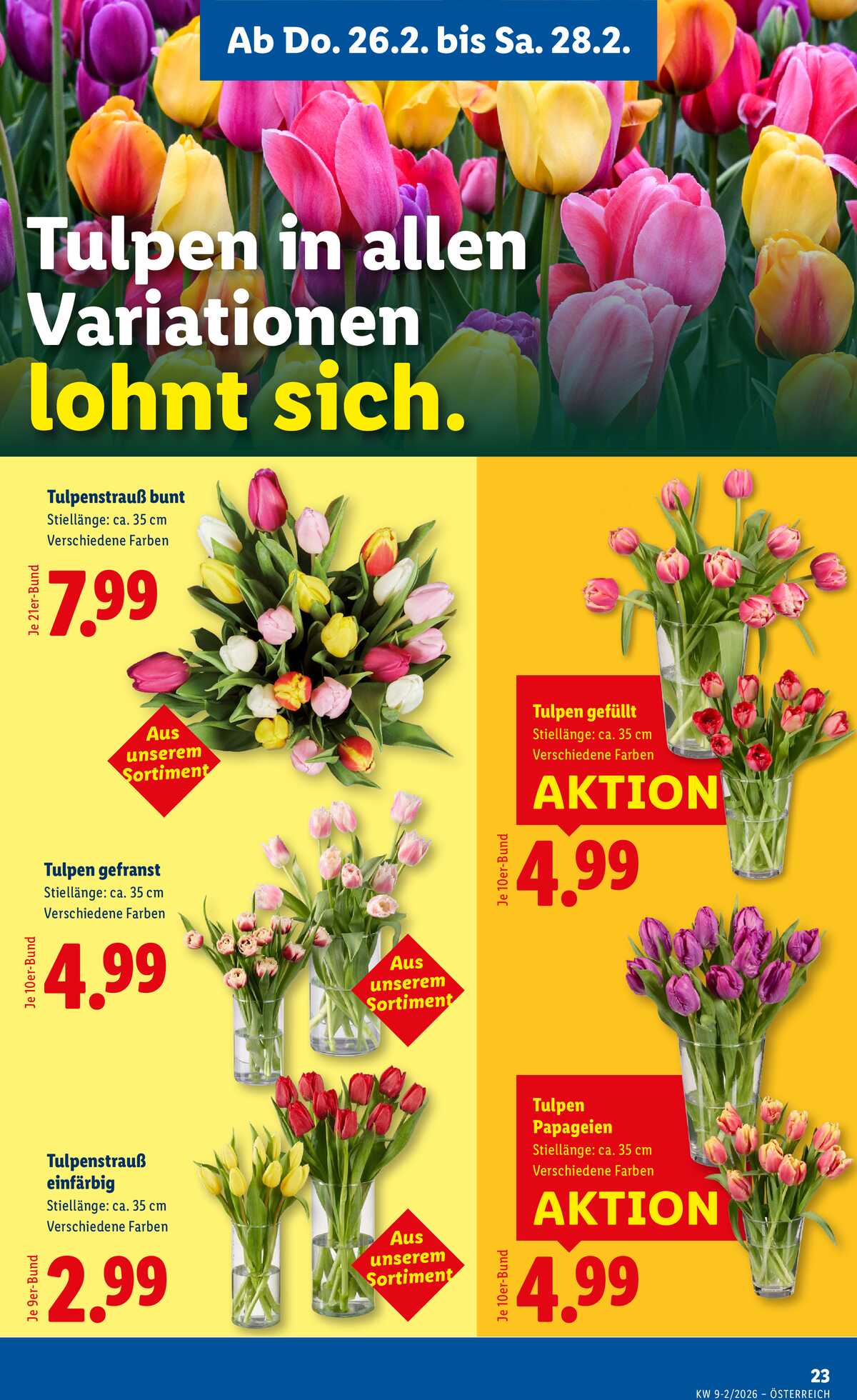 Leták Lidl Rakousko 26.2.-4.3.2026 strana 25