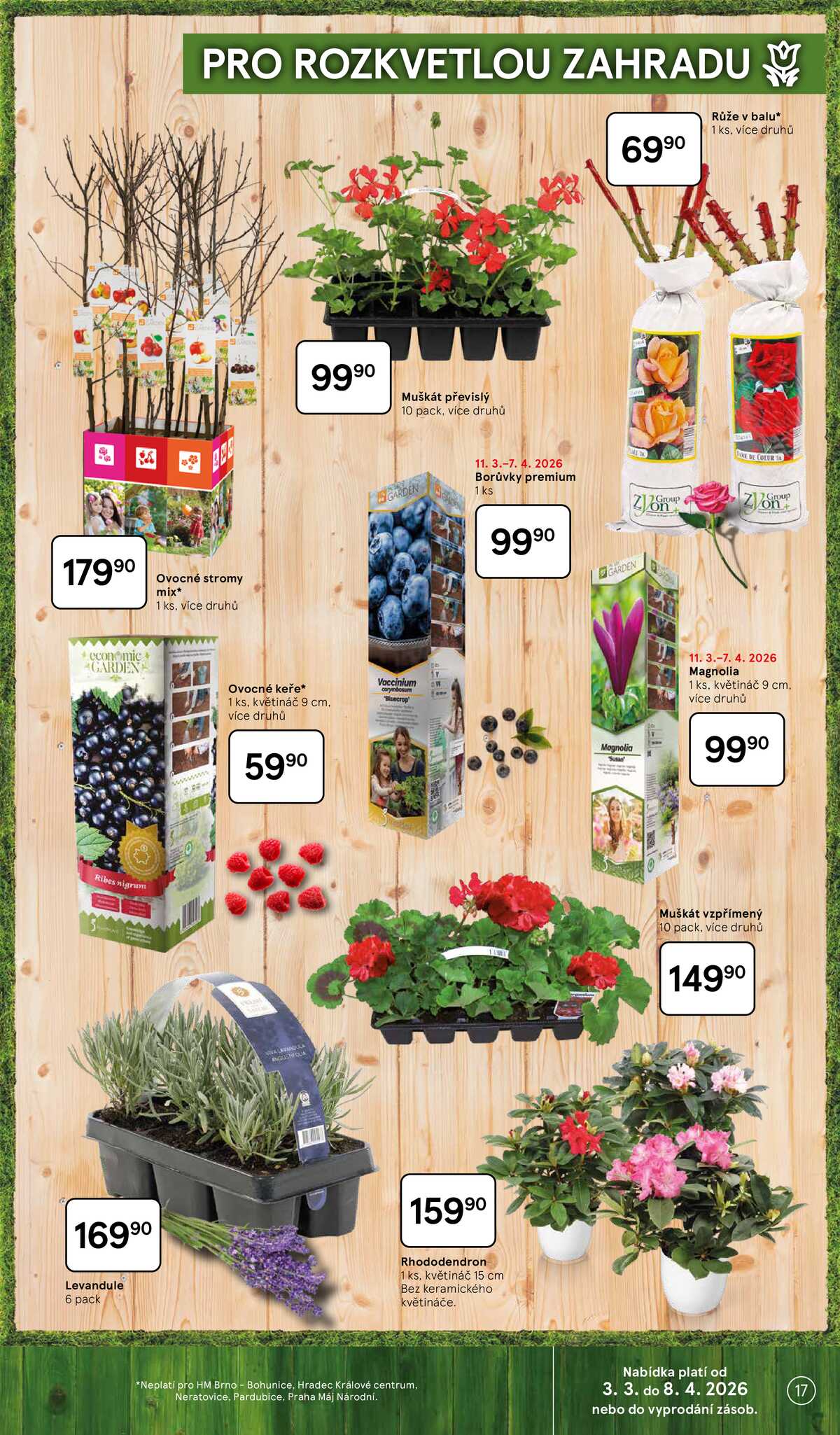 Tesco SPECIÁL velké hypermarkety  od 3.3. do 8.4.2026 strana 17