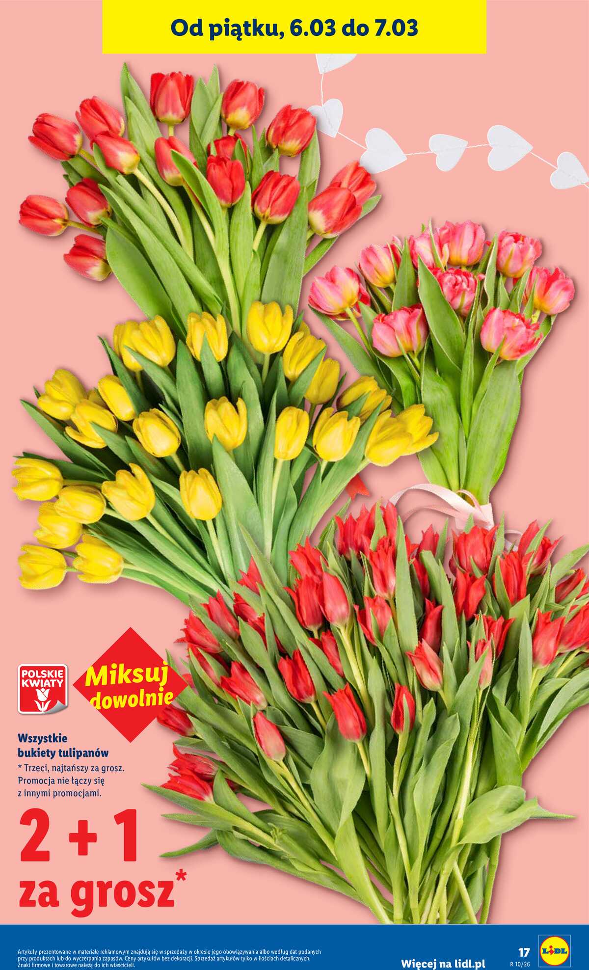 Leták Lidl Polsko 5.3.-7.3.2026 strana 17