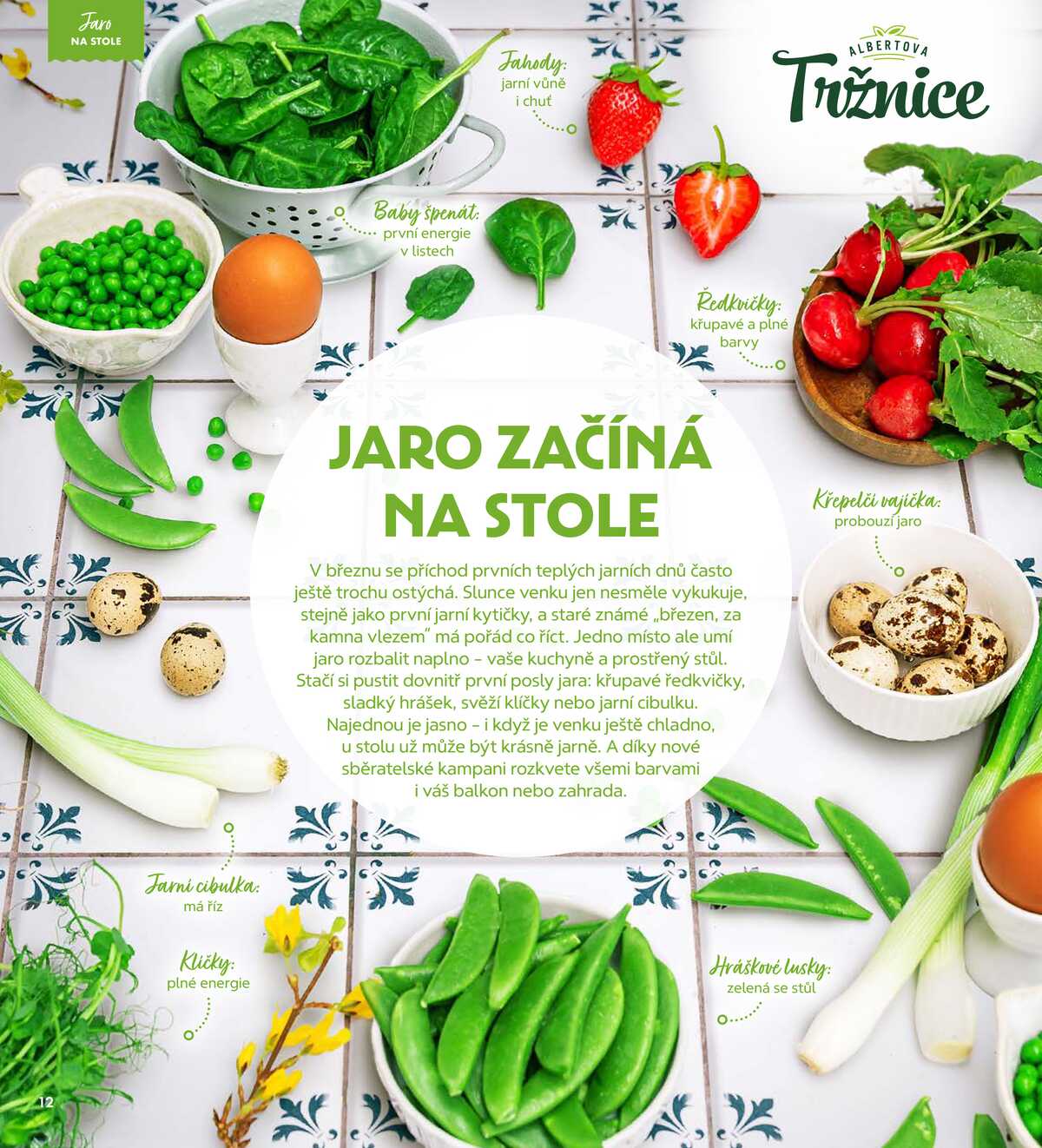 Albert Magazín do 7.4. strana 12