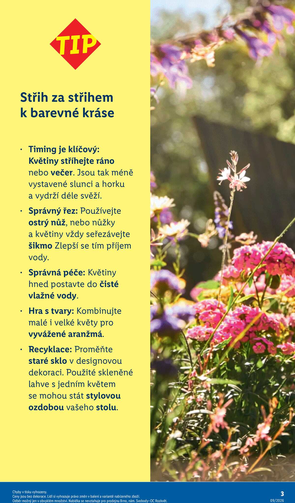 Lidl Zahradní brožura 2026 strana 3